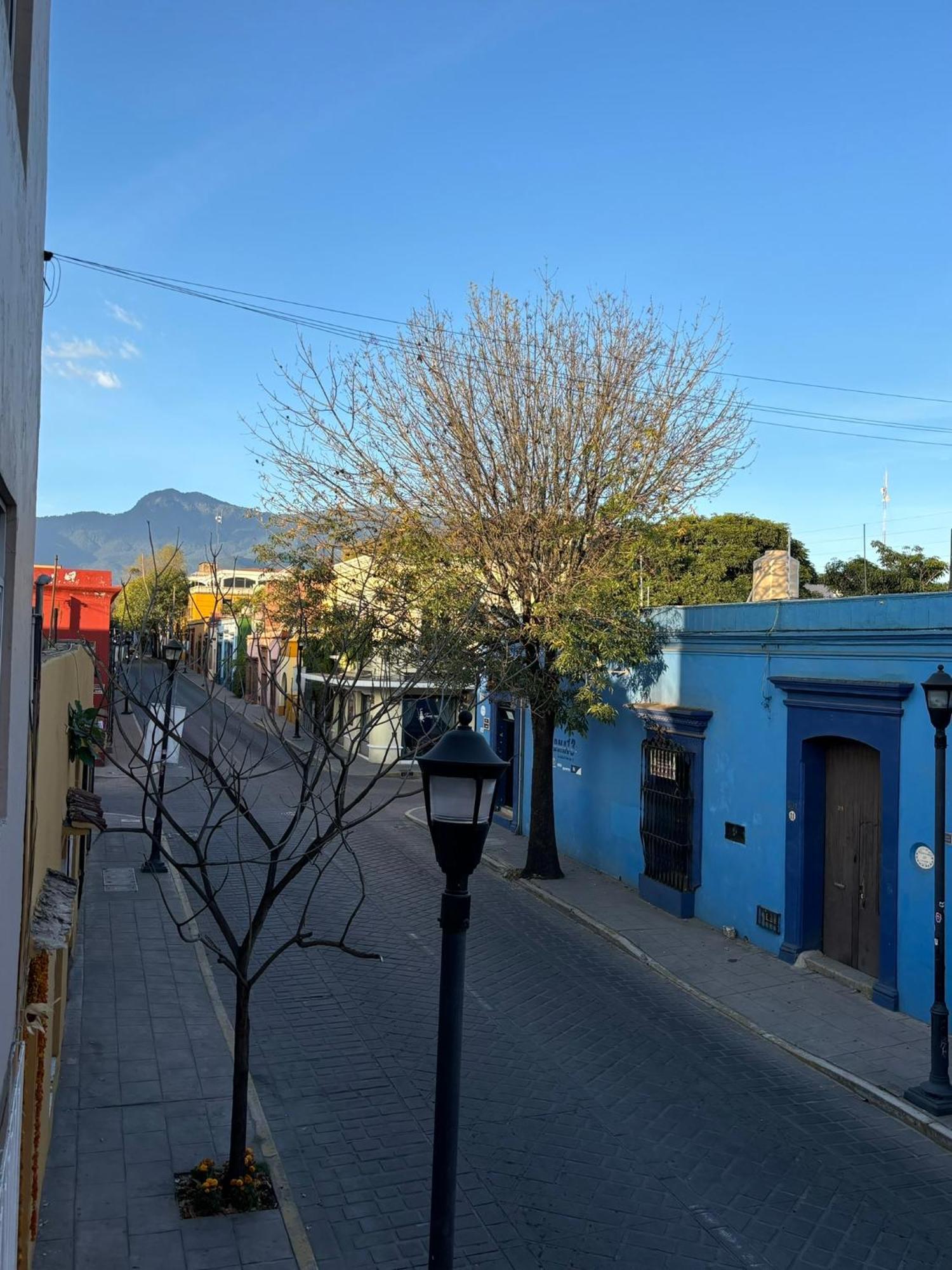 Departamento En El Centro De Oaxacaアパートメント エクステリア 写真